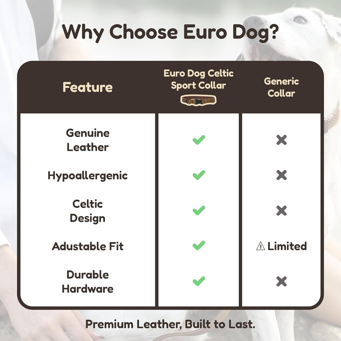 Euro Dog Celtic Viking Leather Collar